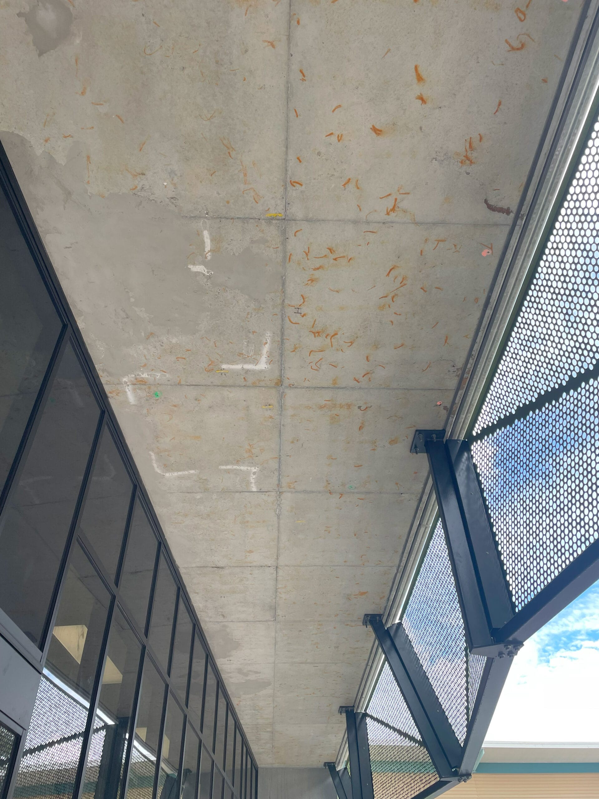 Griffith University – Nathan Campus — photo 2