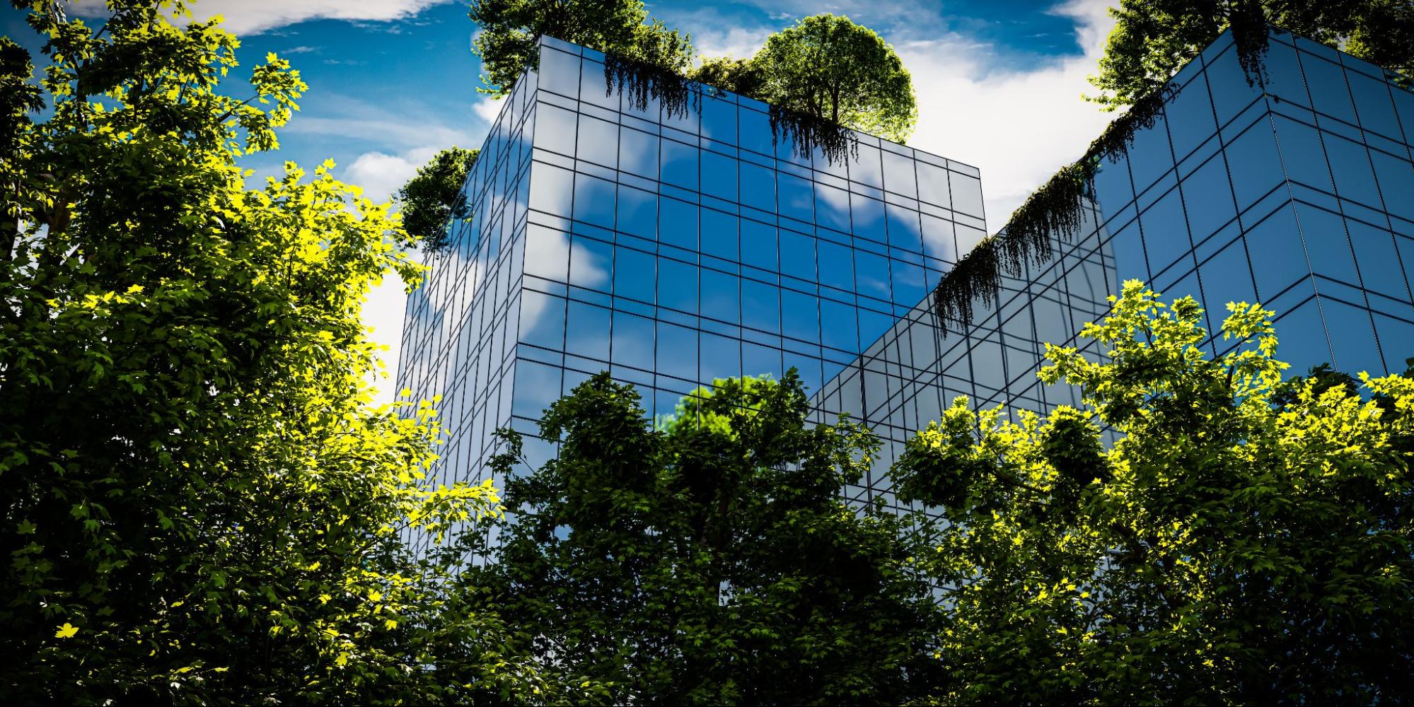 Embracing Sustainability - Ecotone
