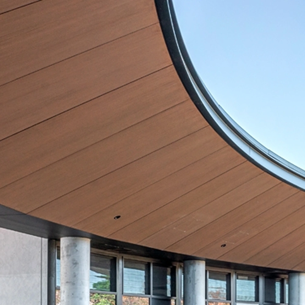 Macarthur anglican school 2